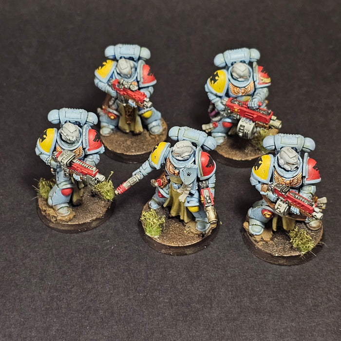 Used Warhammer 40k: Space Marines - Sternguard Veterans
