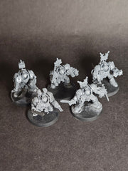 Built and assembled Grey Knights Paladin Squad.