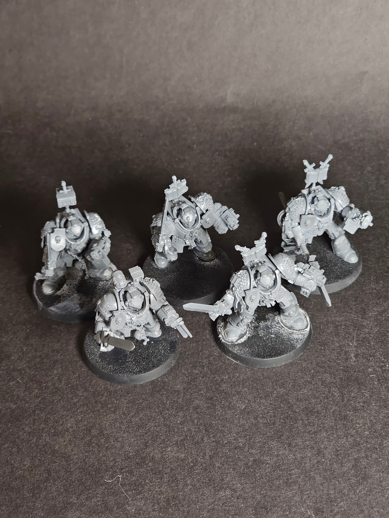 Built and assembled Grey Knights Paladin Squad.