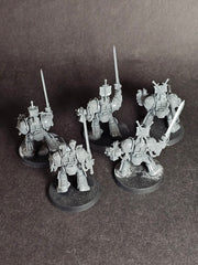 Built and assembled Grey Knights Paladin Squad. (2)