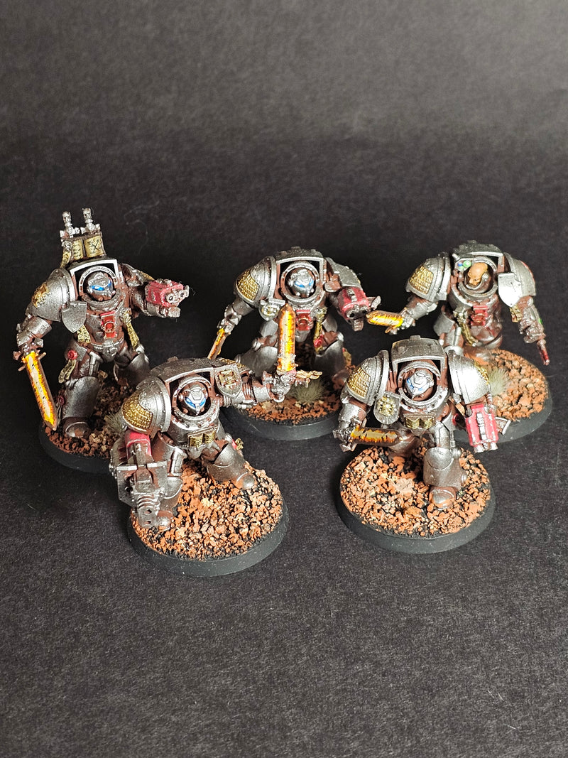 Five built and assembled Converted Grey Knight Terminators.

Painted and Based.