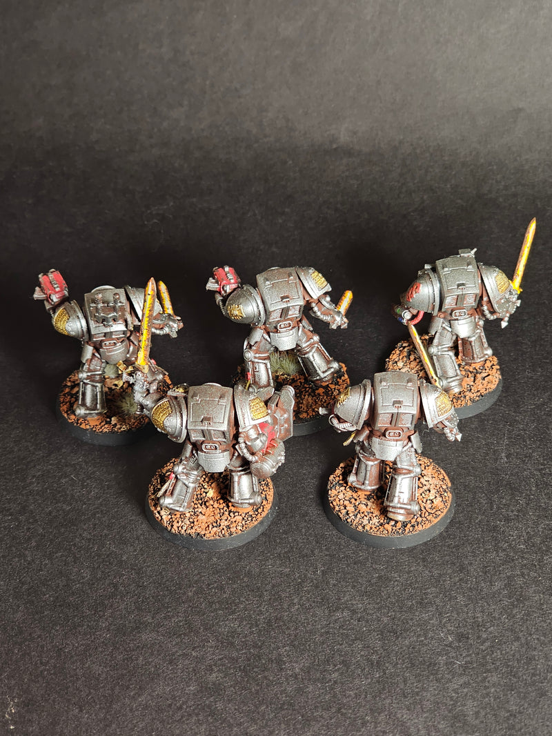 Five built and assembled Converted Grey Knight Terminators.

Painted and Based. (2)