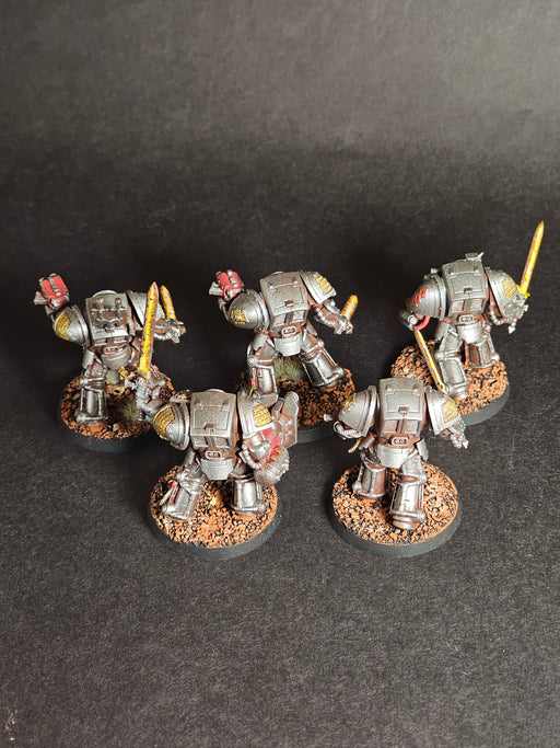 Five built and assembled Converted Grey Knight Terminators.

Painted and Based. (2)