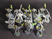 Built and assembled Metal Grey Knights Strike Squad.

Built and partially painted. OOP
(2)