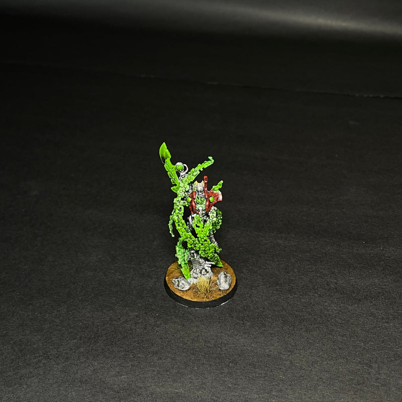 Painted Necrons Overlord with Translocation Shroud.

Based and table ready.