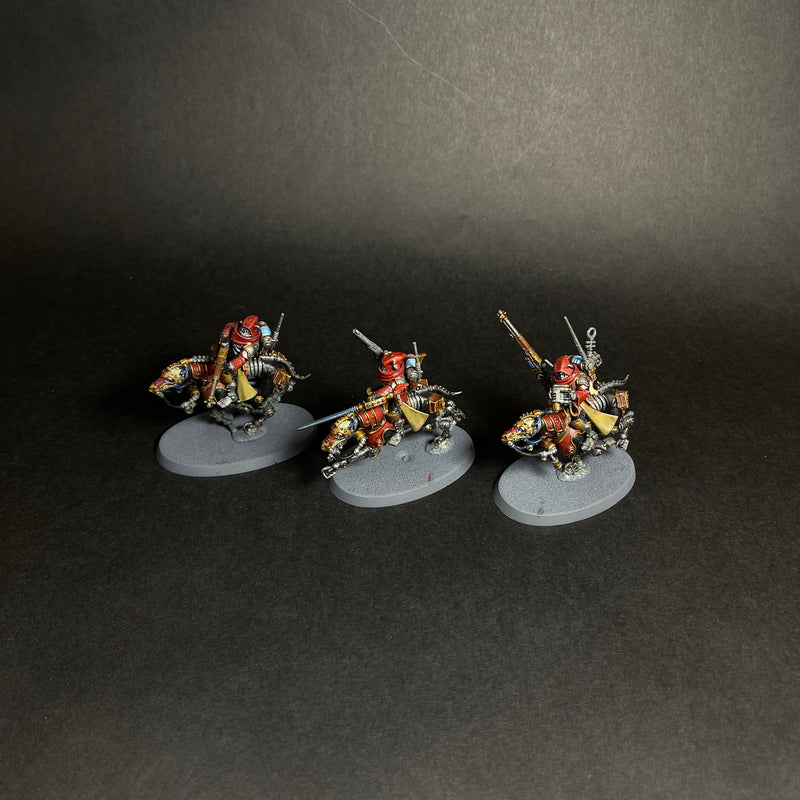 Assembled and Painted Serberys Raiders.