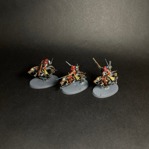 Assembled and Painted Serberys Raiders.