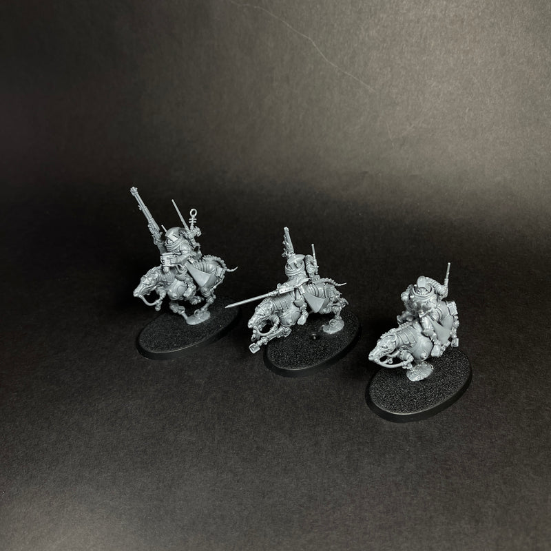 Assembled Serbeys Raiders.