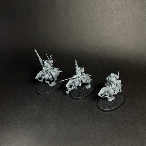 Assembled Serbeys Raiders.