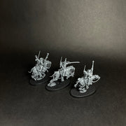 Assembled Serbeys Raiders.