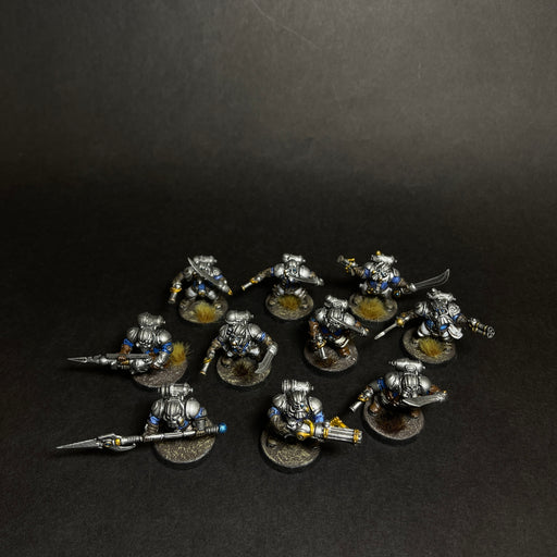 Assembled, Based, and Painted Arkanaut Company.