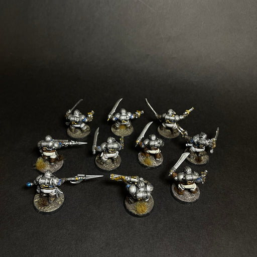 Assembled, Based, and Painted Arkanaut Company.