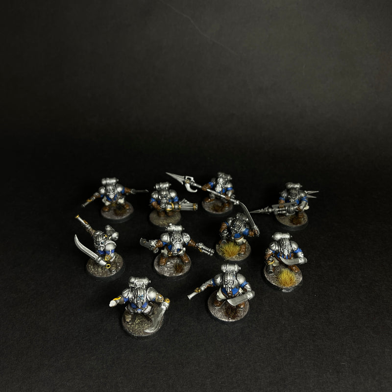 Assembled, Based, and Painted Arkanaut Company.