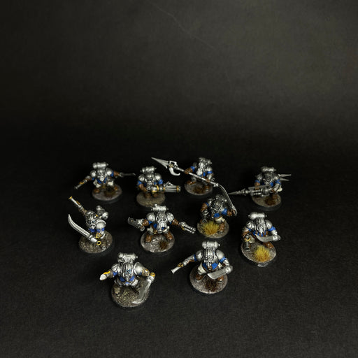 Assembled, Based, and Painted Arkanaut Company.