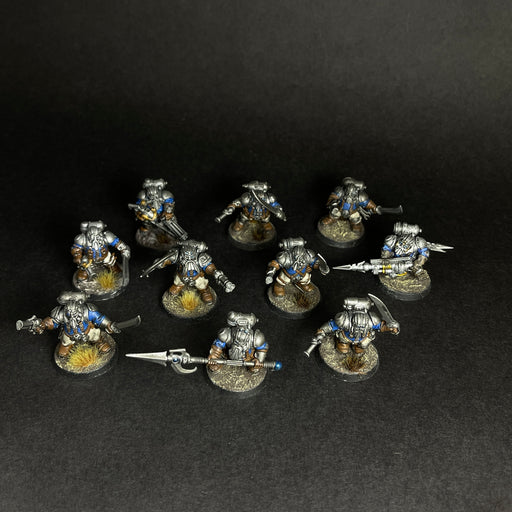 Assembled, Based, and Painted Arkanaut Company.