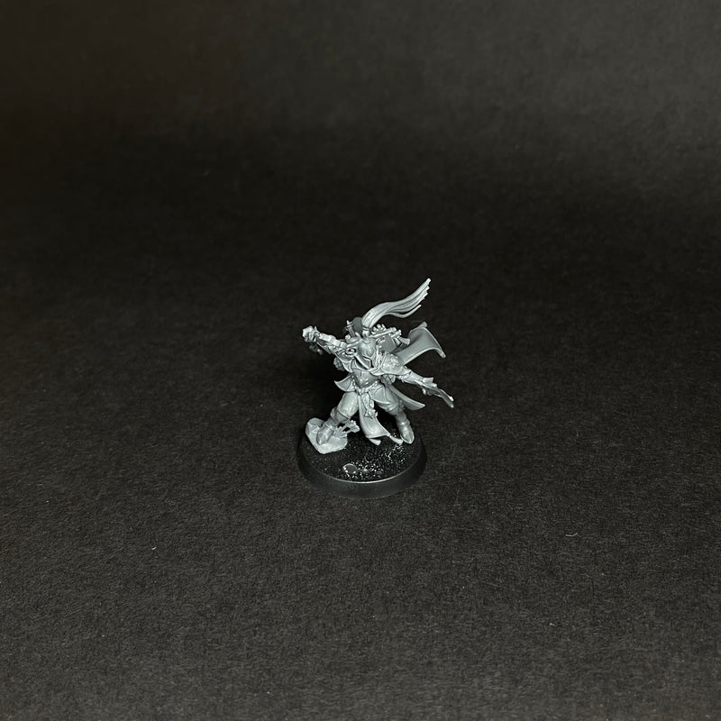 Assembled Scinari Loreseeker.

Broken Staff.