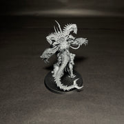 Built Chaos Space Marines Daemon Prince.