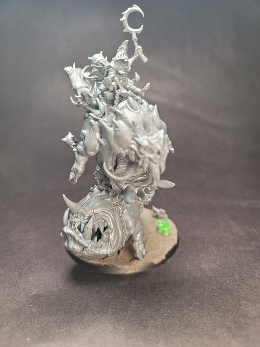 Used Age of Sigmar Loonboss on Mangler Squigs