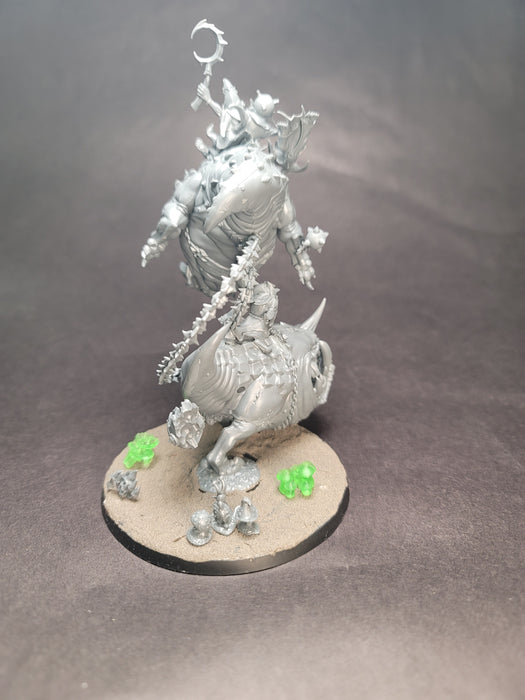 Used Age of Sigmar Loonboss on Mangler Squigs